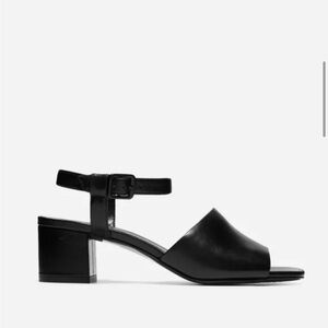 Everlane The Block Heel Sandal